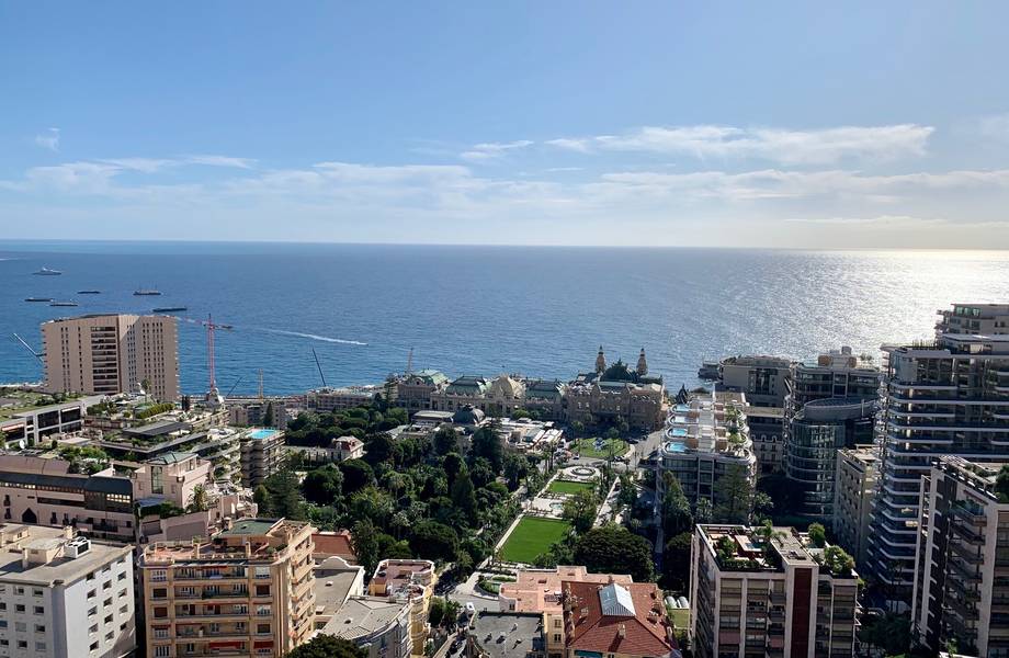 Monaco Properties -  Spacious studio with sea and Casino views